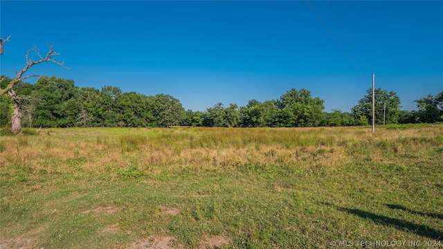 view of local wilderness with a rural view