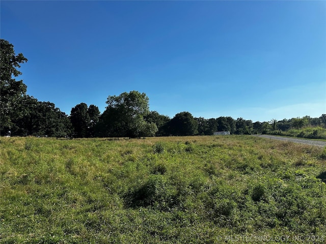 view of local wilderness featuring a rural view