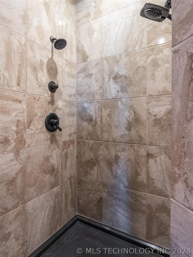 room details with tiled shower