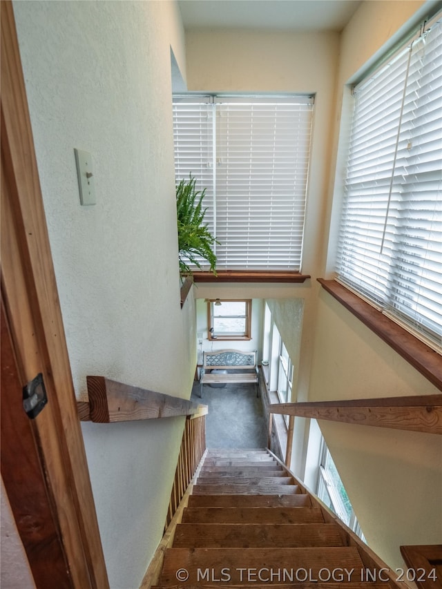 staircase featuring hardwood / wood-style flooring