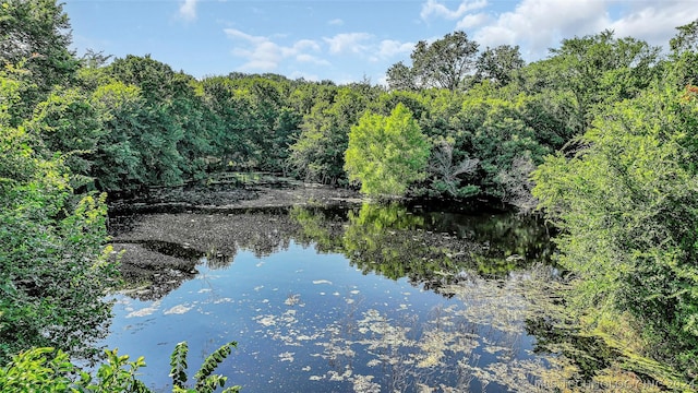 view of water feature