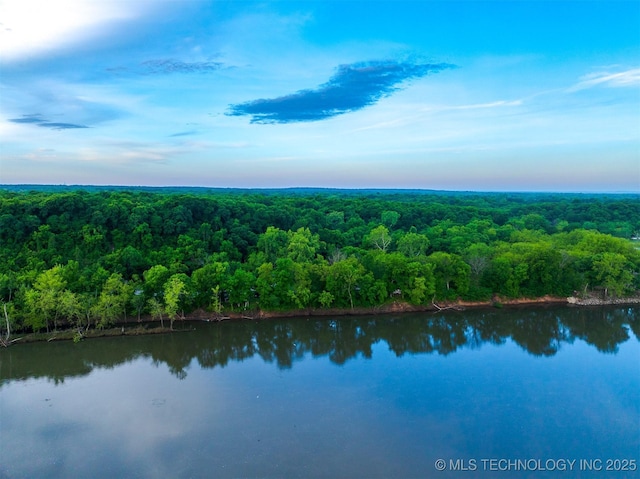 9596 N 447th Rd, Spavinaw, OK 74366 - aerial view of a heavily wooded area and a large body of water