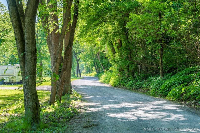 9596 N 447th Rd, Spavinaw, OK 74366 - view of dirt / gravel road with a view of trees