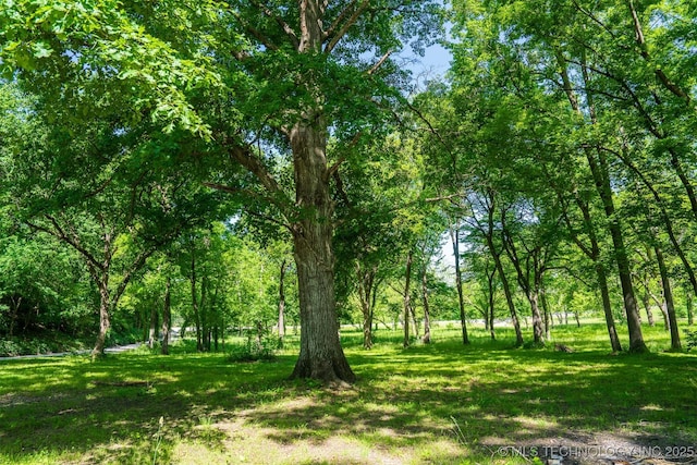 9596 N 447th Rd, Spavinaw, OK 74366 - view of yard
