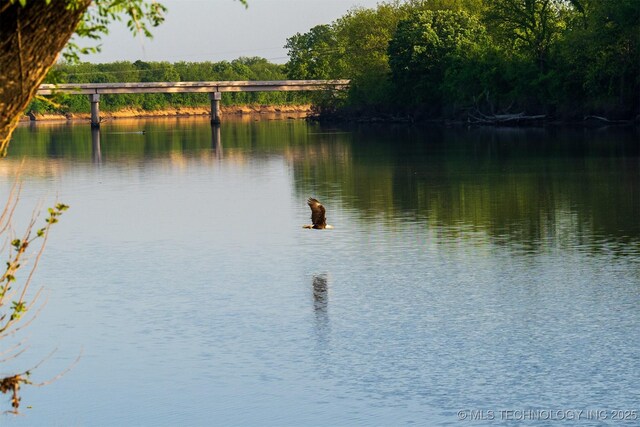 9596 N 447th Rd, Spavinaw, OK 74366 - water view