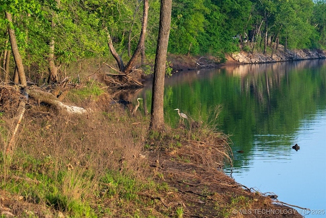 9596 N 447th Rd, Spavinaw, OK 74366 - water view