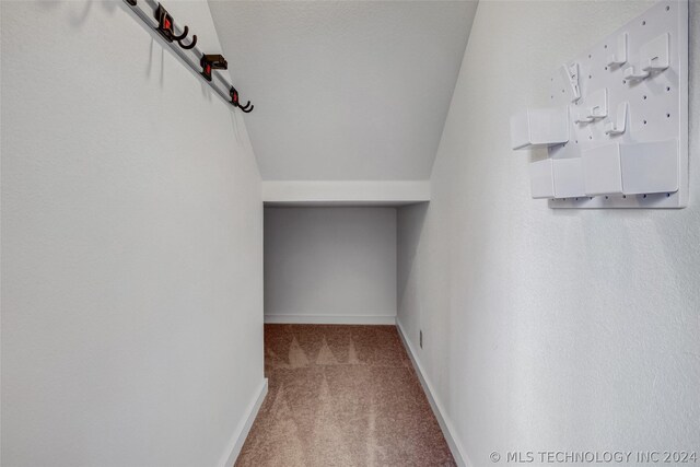 spacious closet featuring lofted ceiling and carpet