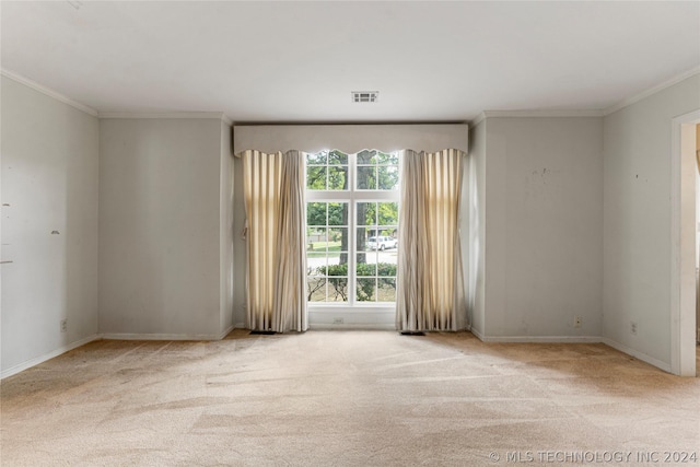 spare room with light carpet and crown molding