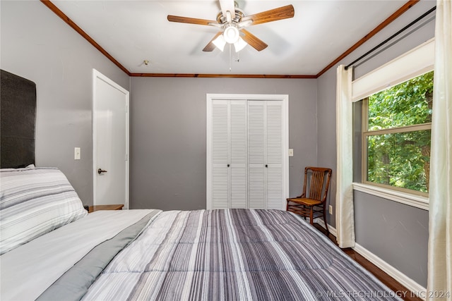 bedroom with crown molding, a closet, ceiling fan, and hardwood / wood-style floors