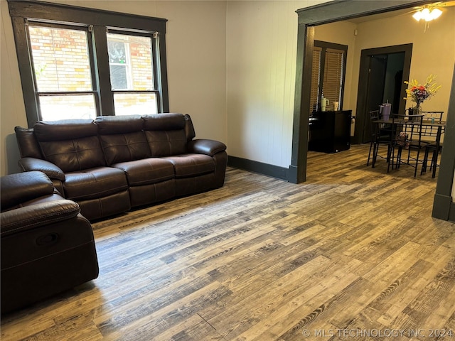 living room with ceiling fan and wood-type flooring