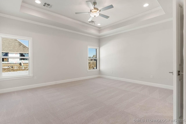 spare room with a raised ceiling, crown molding, and carpet flooring