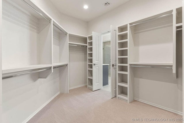 spacious closet with light carpet