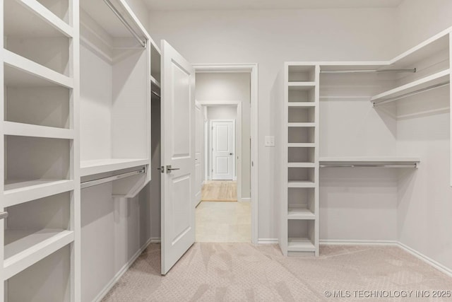 spacious closet with light colored carpet