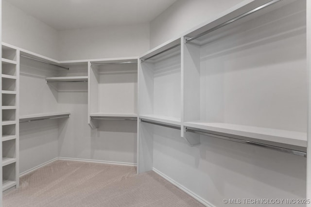 spacious closet with carpet floors