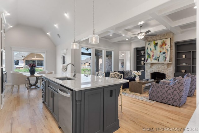kitchen featuring a sink, light wood finished floors, a fireplace, and stainless steel appliances