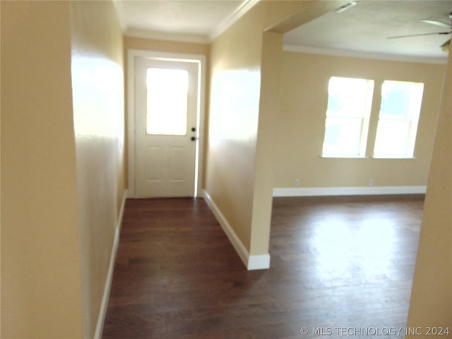 corridor with dark hardwood / wood-style flooring and crown molding