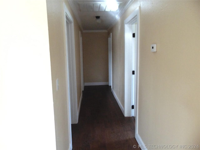 hall with ornamental molding and dark wood-type flooring