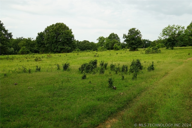 view of landscape featuring a rural view