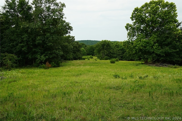 view of nature