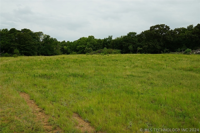 view of local wilderness featuring a rural view