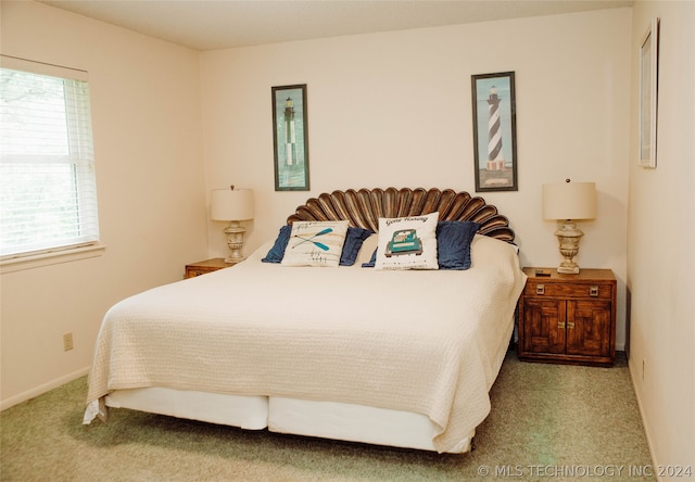 bedroom with carpet floors