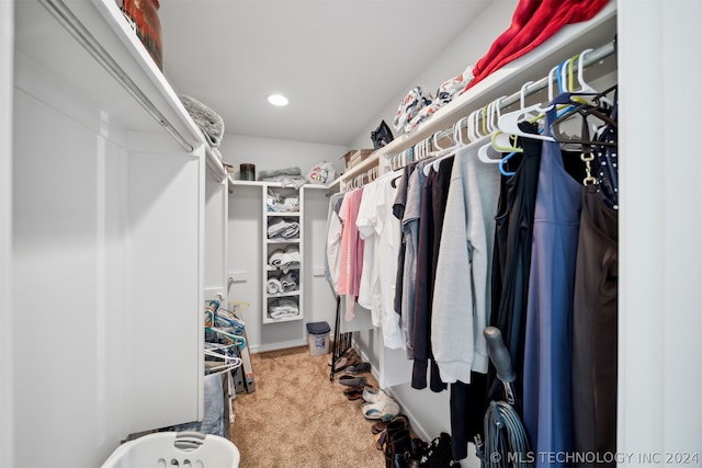 spacious closet with carpet