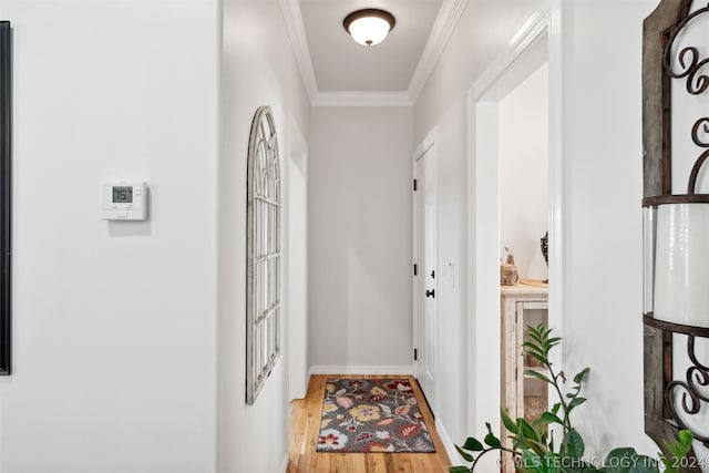 hallway featuring ornamental molding and light wood-type flooring