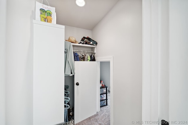 spacious closet with light carpet