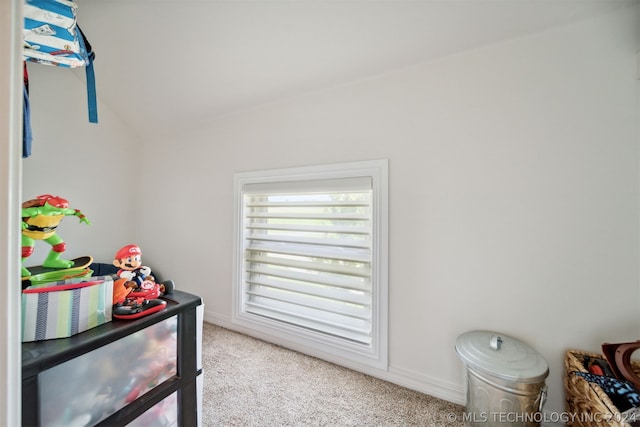 interior space with light carpet and lofted ceiling