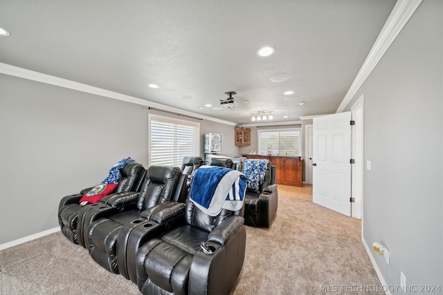 carpeted home theater with crown molding