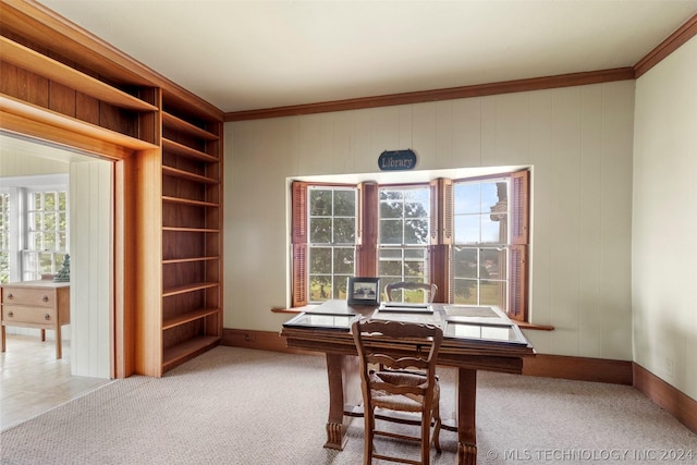 carpeted office space featuring ornamental molding