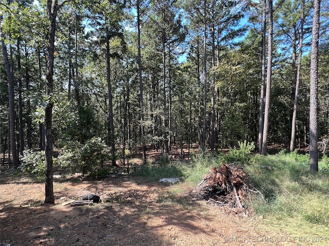 view of local wilderness