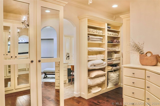 spacious closet with dark hardwood / wood-style flooring and french doors