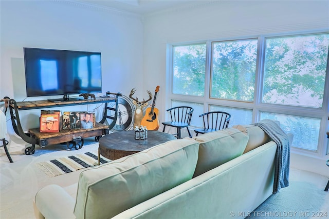 living room with ornamental molding and carpet