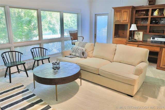 carpeted living room with plenty of natural light