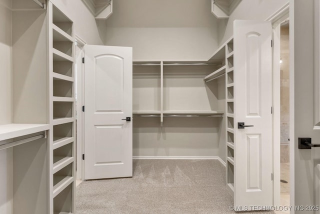 walk in closet featuring carpet