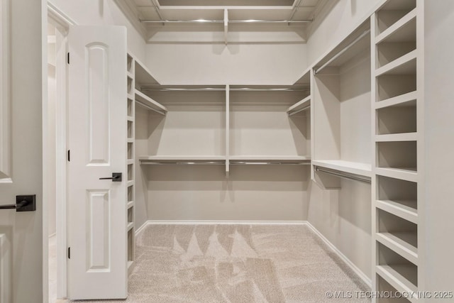 spacious closet with carpet flooring