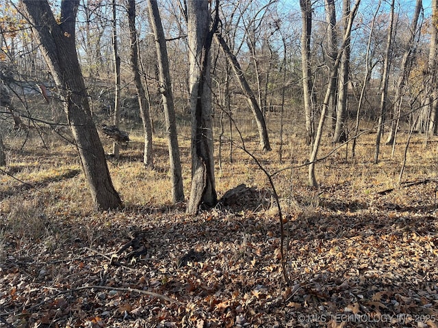 Kansas Dr, Monkey Island, OK 74331