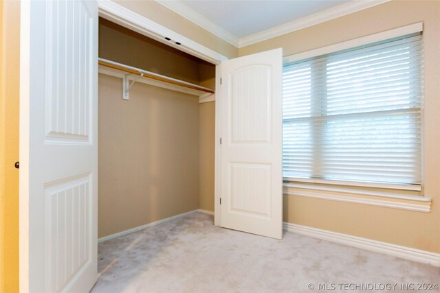 view of closet