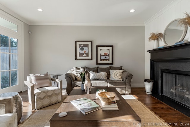 living room featuring dark wood-type flooring and crown molding