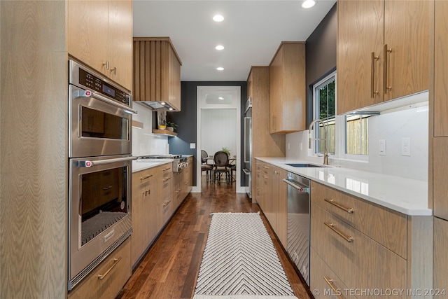 kitchen featuring sink, dark hardwood / wood-style flooring, and stainless steel appliances