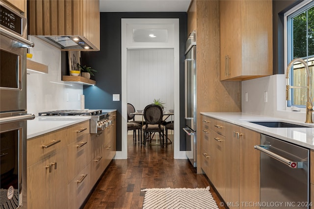 kitchen featuring dark wood-type flooring, sink, and stainless steel appliances