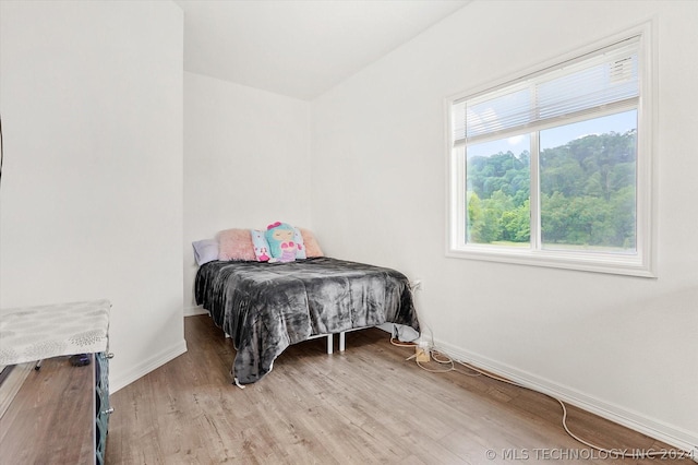 bedroom featuring light hardwood / wood-style flooring and multiple windows