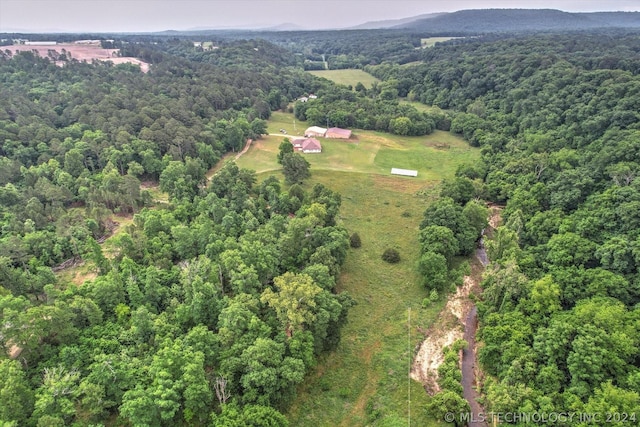 bird's eye view