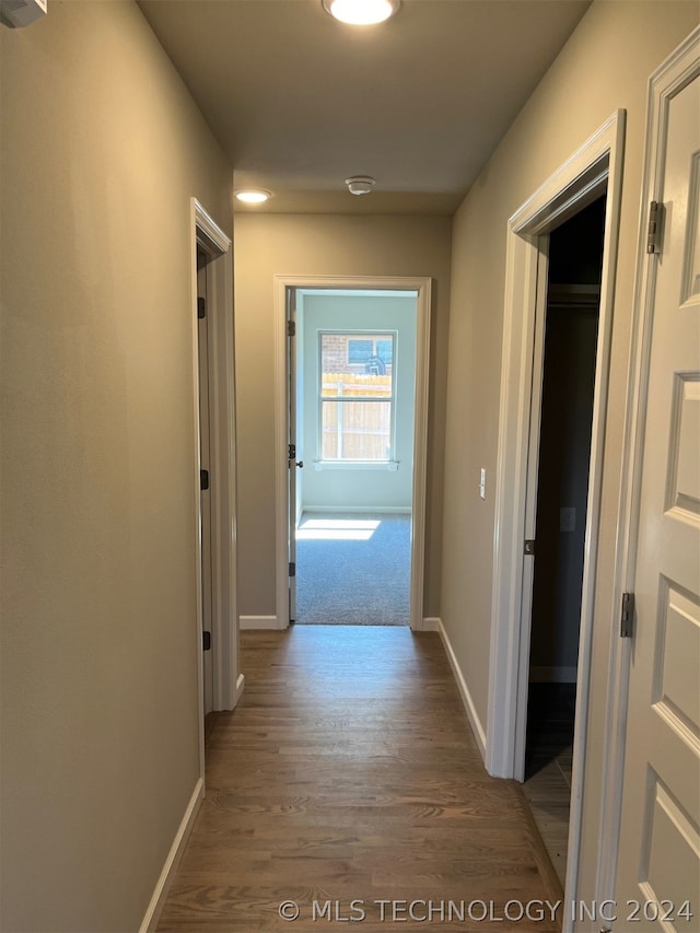 corridor with carpet floors