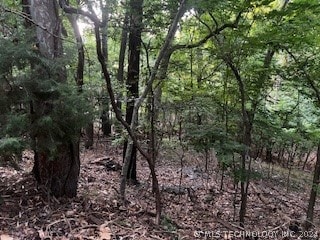 0 Vinita Cir, Monkey Island OK, 74331 land for sale