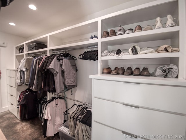 view of spacious closet