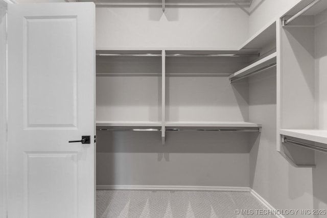 view of walk in closet