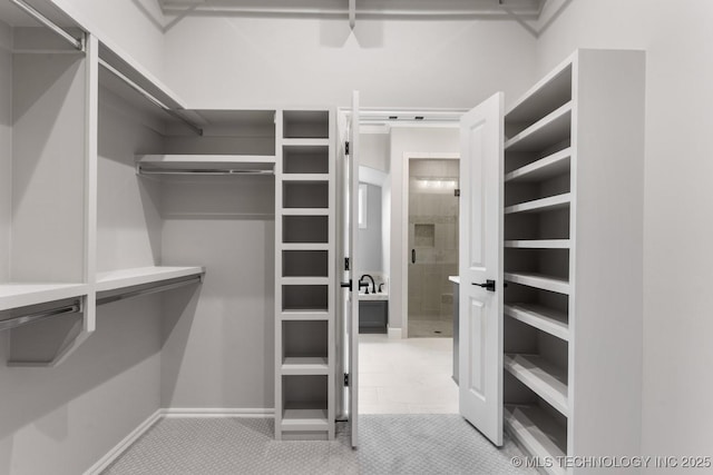 walk in closet featuring carpet floors