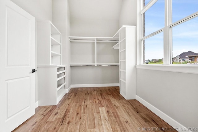 spacious closet featuring light hardwood / wood-style flooring